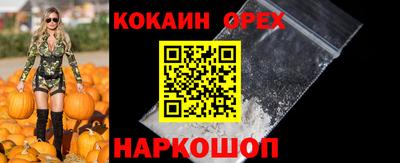 гашик Нарткала