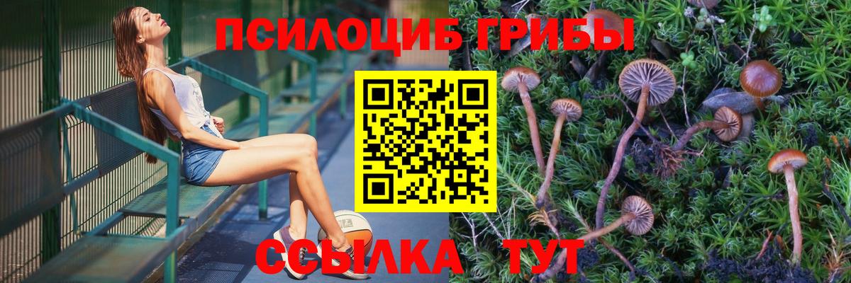 Азнакаево  Псилоцибиновые грибы прущие грибы  Вход с VPN 